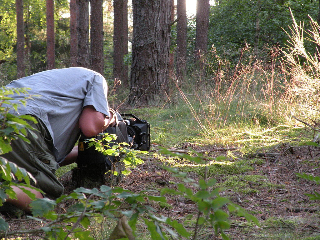 What AI Copyright Law Means for Documentary Filmmakers