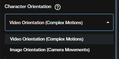 Character Orientation dropdown with Video and Image orientation options