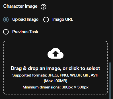 Character Image upload area for face or body reference