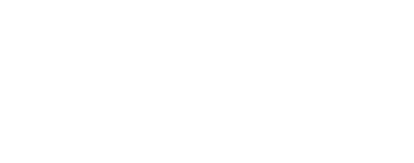 FLUX